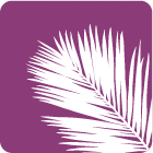 l2.jpg